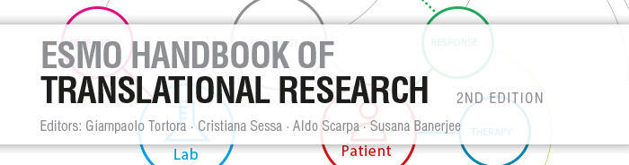 EMEO翻译研究手册