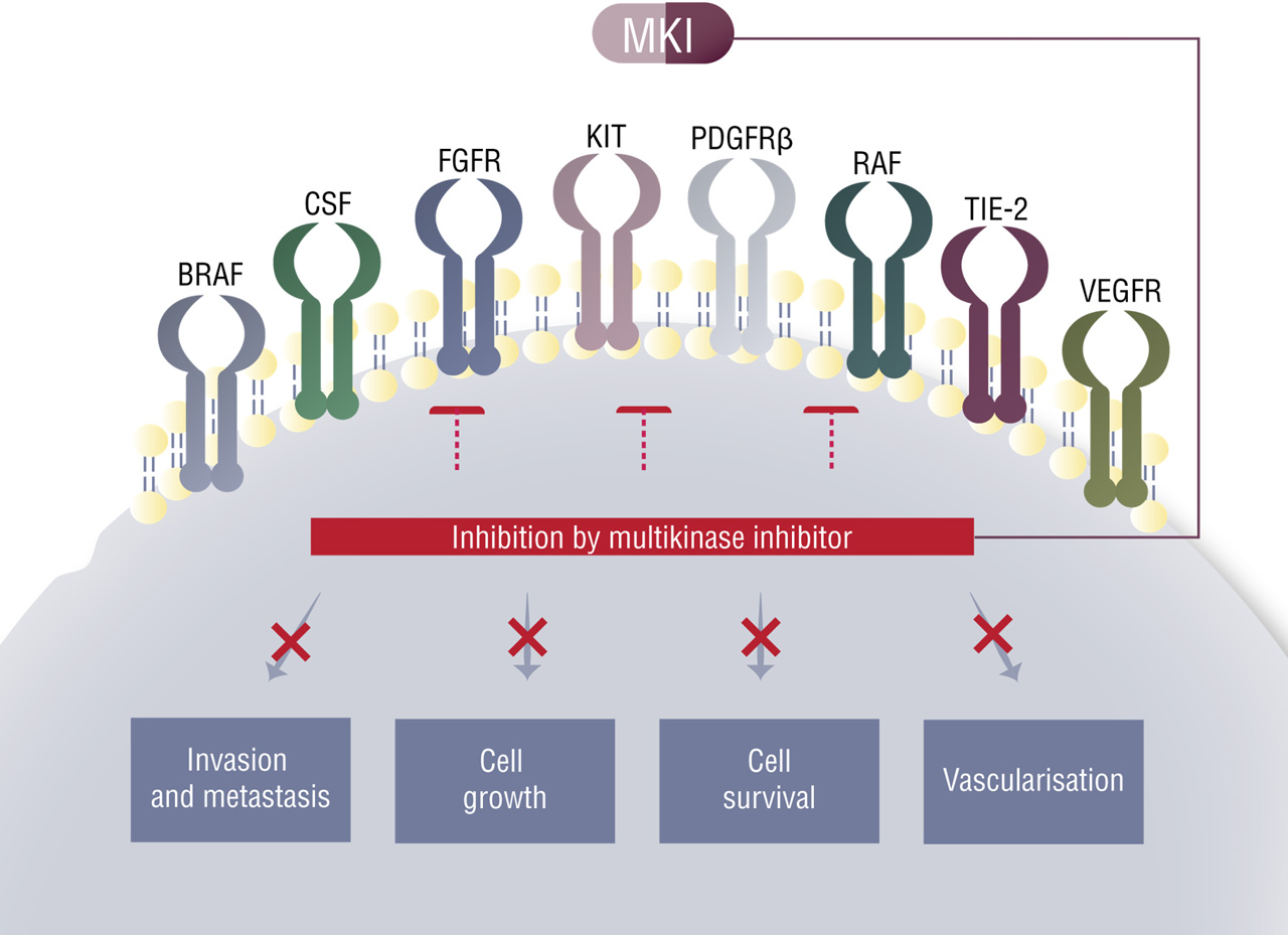 图:多因子抑制器作用模式