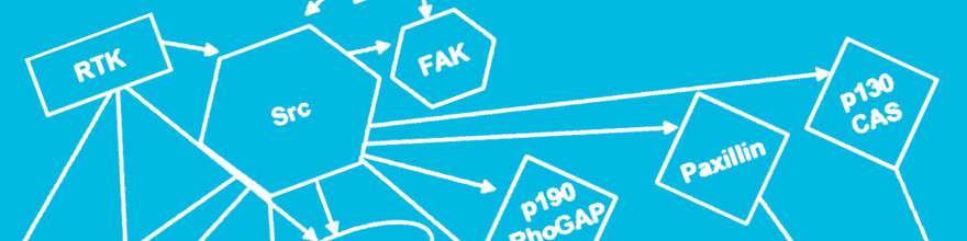Molecular-Biology-Block-1000x250
