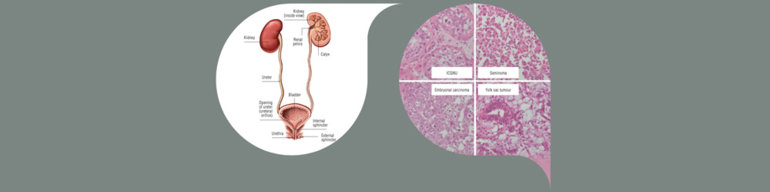 切片轨迹基本图